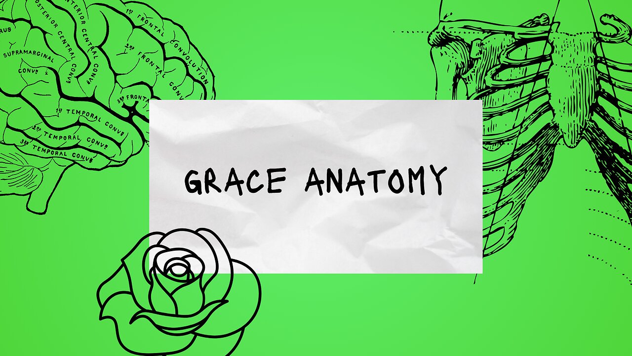 Grace Anatomy Pt. 1