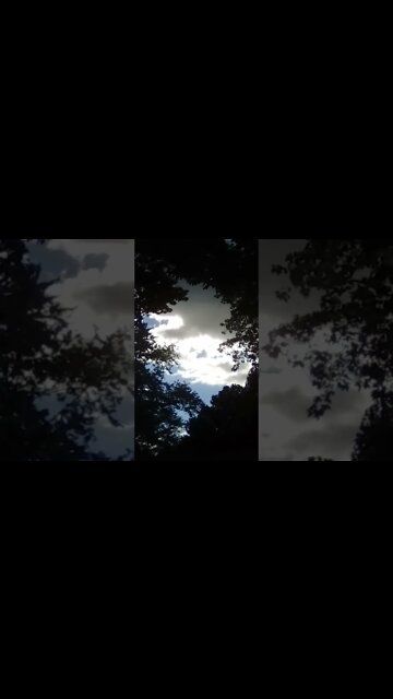 Aerils, in the SKY.....