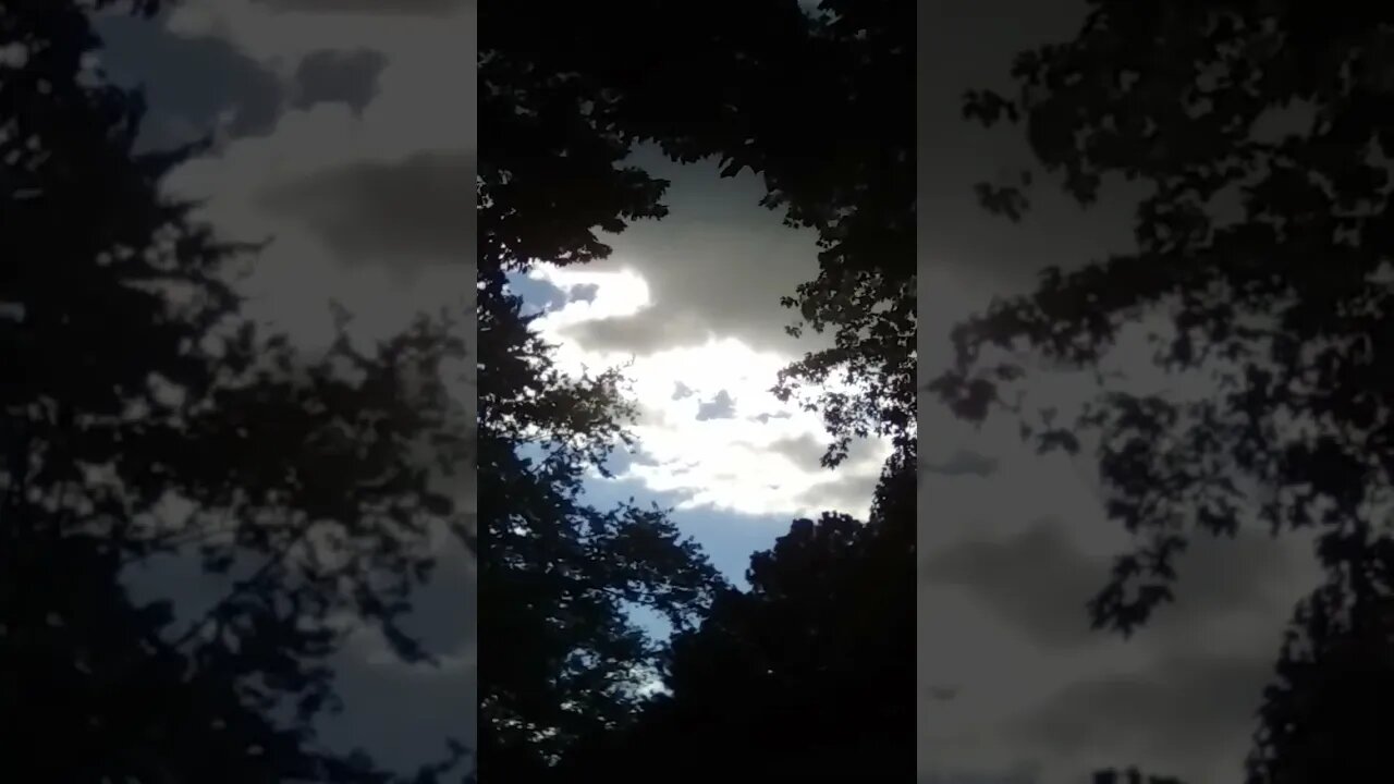 Aerils, in the SKY.....