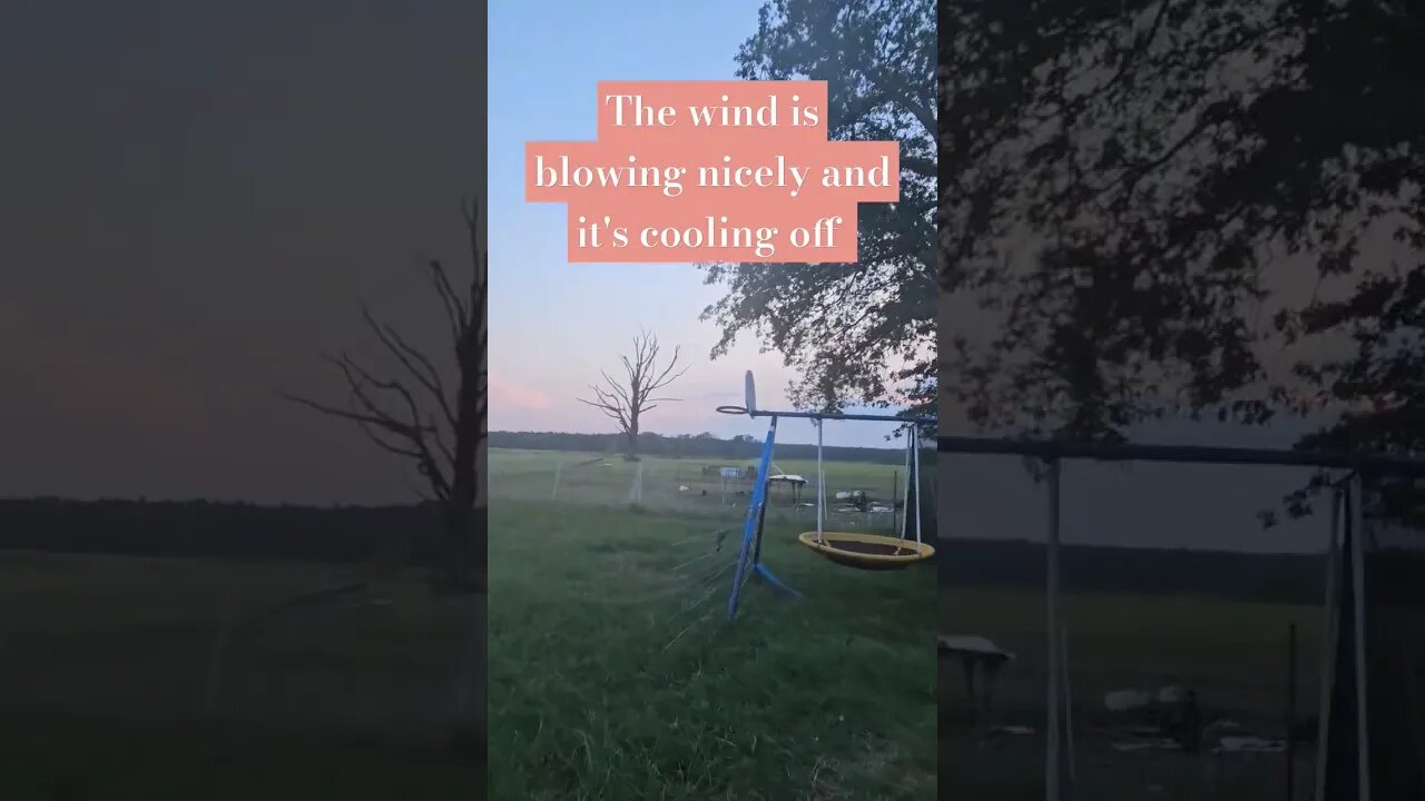 we are almost through all this heat I hope #chicken #turkey #duck #homestead #video #shorts #farm