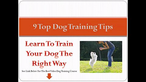 dog training video
