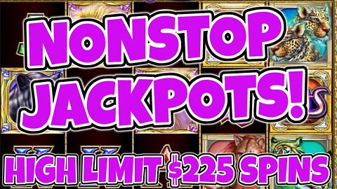 SUPER HIGH LIMIT CATS KEEPS HITTING MEGA JACKPOTS IN VEGAS!