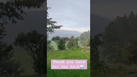 RAIN for the garden! 🌧