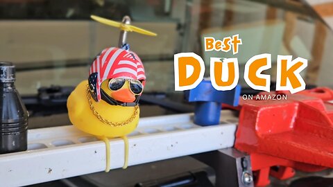 Deluxe Jeep Duck With All The Bling!