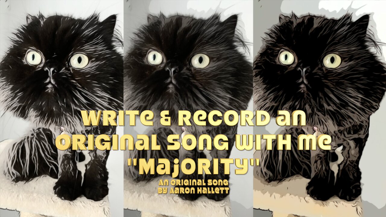 Write & Record an Original Song With Me "Majority" an Original Song by Aaron Hallett