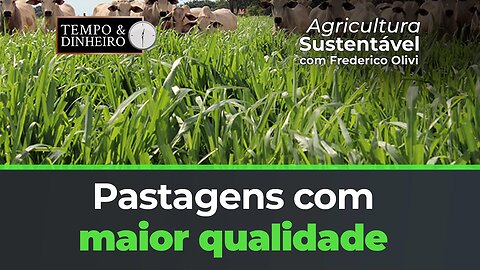 Pastagens com maior qualidade