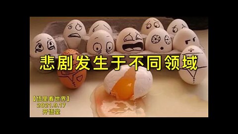 KWT2512悲剧发生于不同领域20210917-8【悟里看世界】