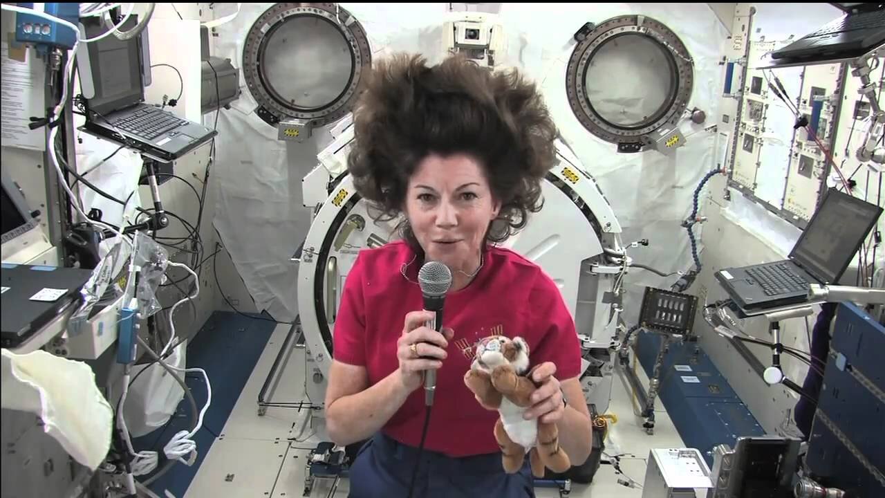 Waking up, working, and going to sleep in spaceship