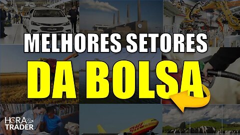 🔵 Quais os melhores setores para investir em ações no Brasil ? Melhores setores da Bolsa de Valores