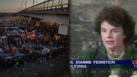 Shock Video: Dianne Feinstein Tells The Truth About Illegal Immigration