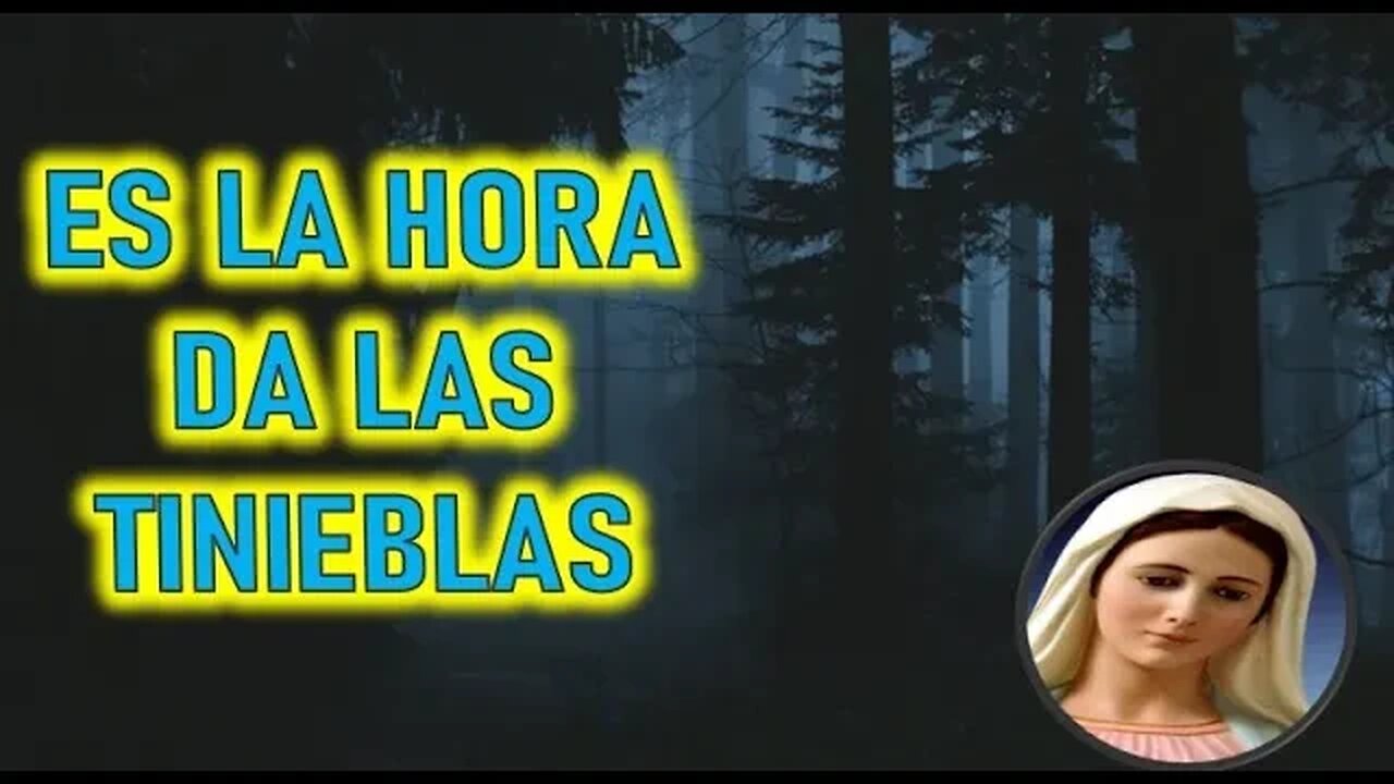 ES LA HORA DE LAS TINIEBLAS MARIA SANTISIMA A PADRE STEFANO GOBBI