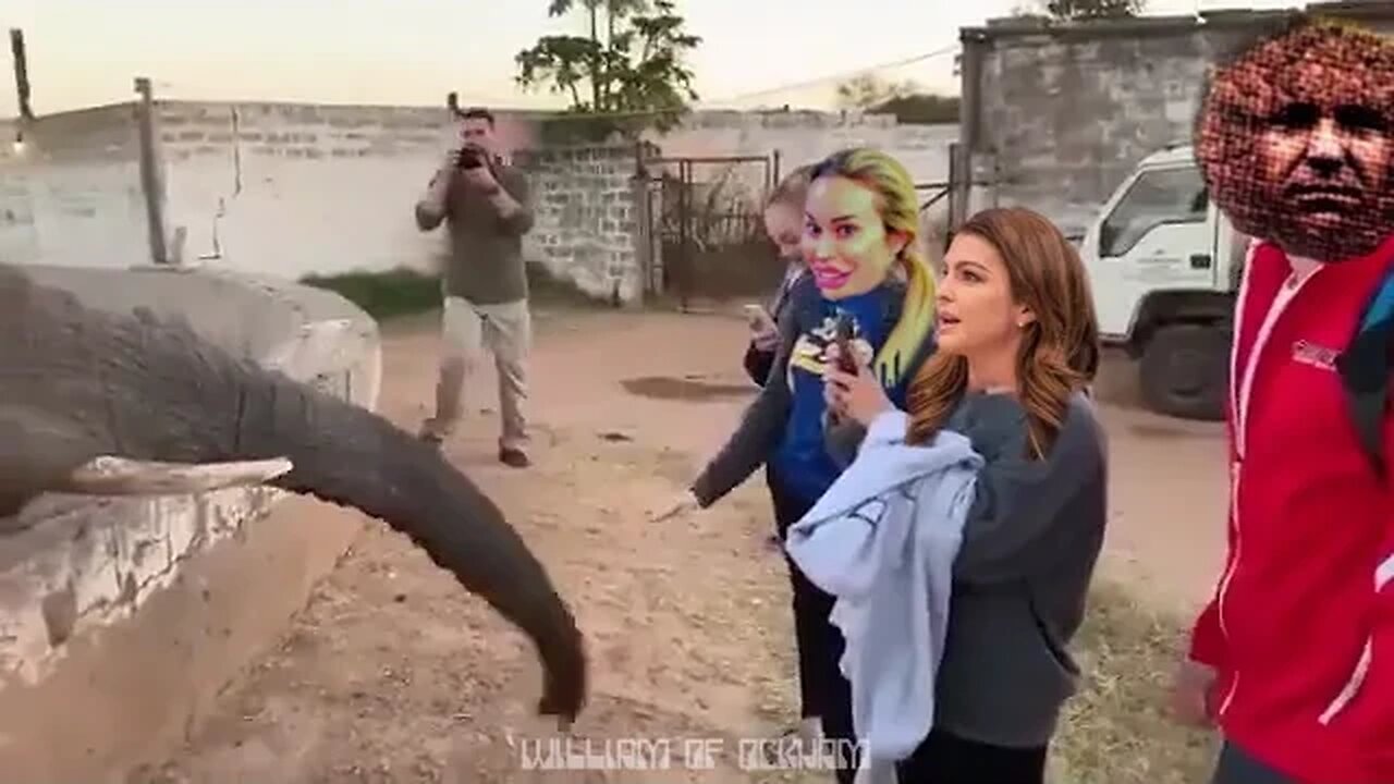 When MAGA attacks...Meatball edition