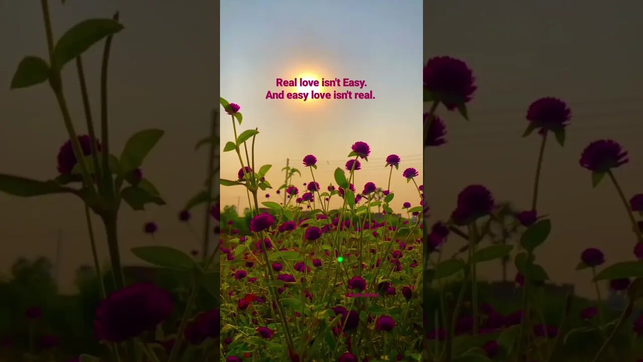 Real love isn't easy ||Roohi Writes|| #reallove #reality #real