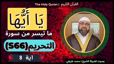Holy Quran 66-At-Tahrim (the Prohibition) | القرآن الكريم | ما تيسر من 66 سورة التحريم - اية_8