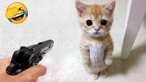 Animal funny moments part 3😂😂😂😂