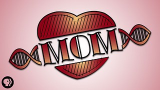Your Mom is LITERALLY Part Of You!