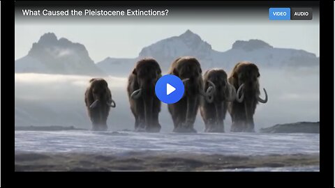 What caused the Pleistocene extinctions