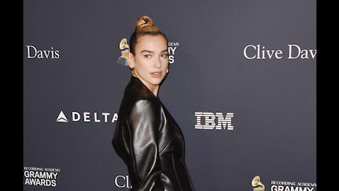 Dua Lipa appeared 'really uncomfortable' amid fan drama