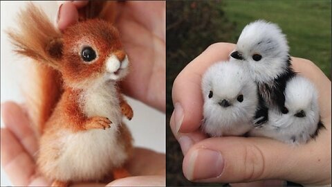 DANGEROUS ANIMALS CAUGHT BEING FRIENDLY😍