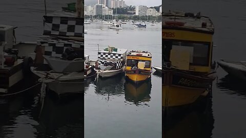DOG'S BOAT🇧🇷