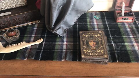 Vintage Wisdom Oracle Pull