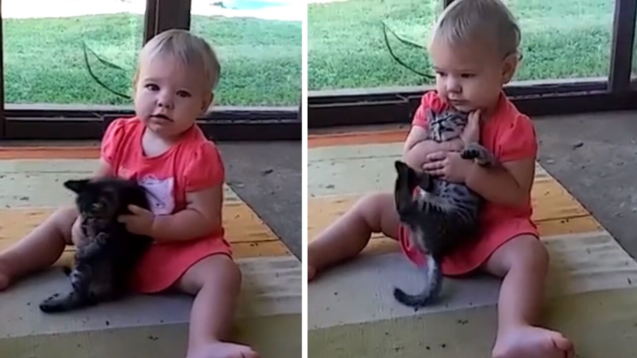 Little girl made the cat say her last wishes