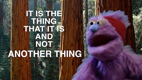 Ate from the Tree of Truth?