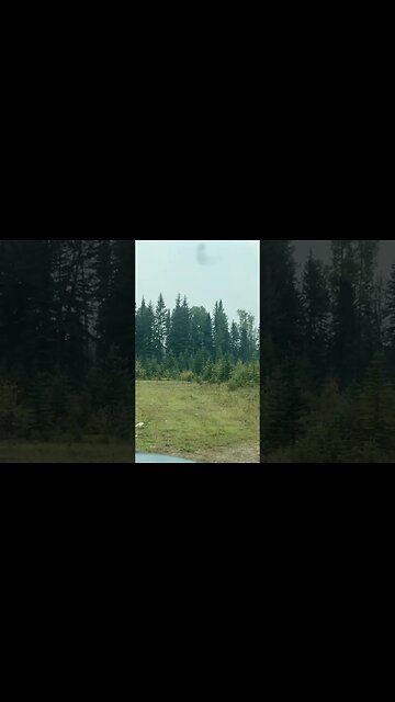 Last day in Alberta #vancityadventure #overlanding