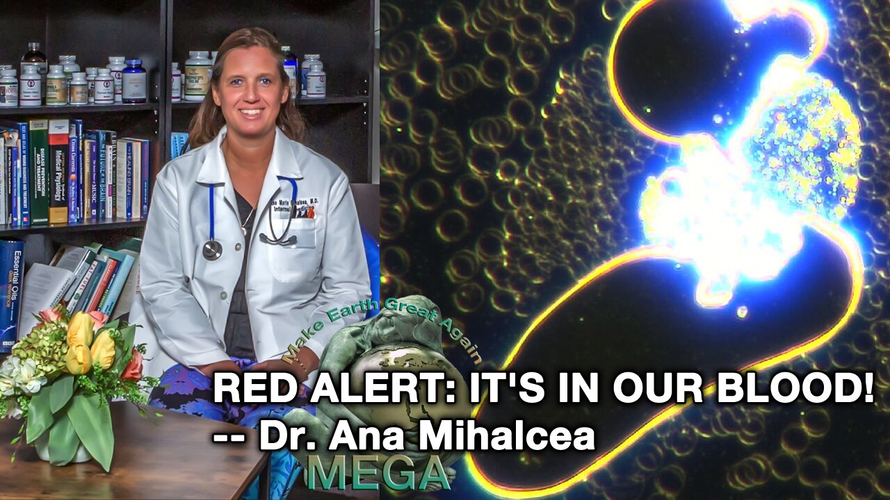 RED ALERT: IT'S IN OUR BLOOD! -- Dr. Ana Mihalcea | Pfizer BioN Tech COVID19 Bioweapon Mixed With EDTA/ Vitamin C Day 6 Shows No Nanotechnology. Mixing The Solutions Shows Deactivation Of Nanobots IMMEDIATELY - In Dental Anesthetics and COVID19 Shots