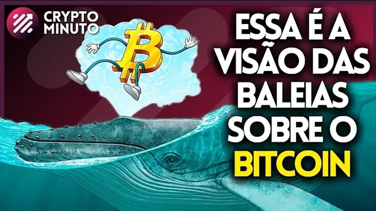 PODE ACUMULAR SE FOR LONGO PRAZO - TOP 3 - KUSAMA - DOT - CARDANO - FTX - BTC - CRIPTO NOTÍCIAS HOJE
