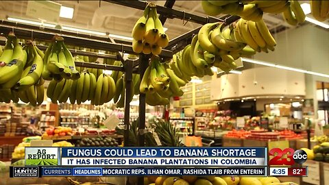 Ag Report: Fighting rural farm crime; banana disease; and ag grant award