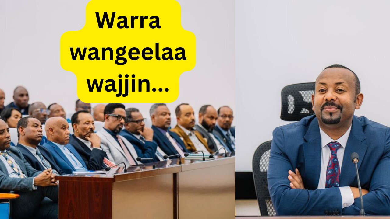 Dhimmoota wayitaawaa Itiyoophiyaa