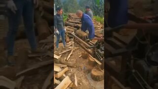 #shorts automatic wood cutter