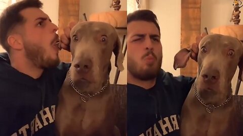 Men's eating a dog ear