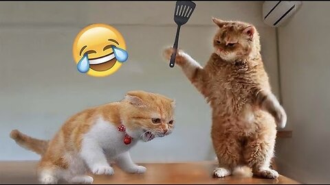Animal🐈 Funny Videos🤣 | 2024