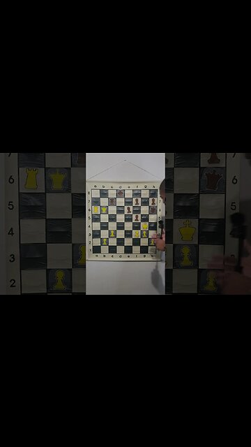 Chess Fail!