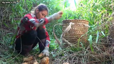#108 ! Harvest potatoes and go to the market to buy sweaters for a 90 year old grandmother