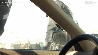 La polizia gli rompe il finestrino per tirarlo fuori dall'auto...