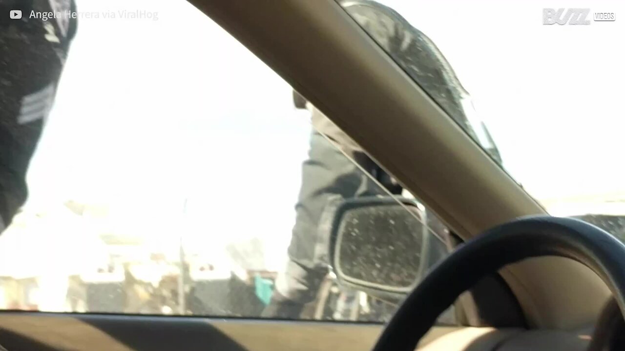 La polizia gli rompe il finestrino per tirarlo fuori dall'auto...