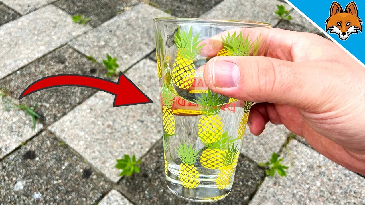 I dumped THIS over my Weeds and ALL were Amazed 💥 (CHANGED my Life) 🤯
