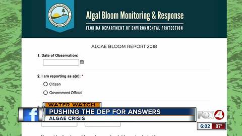 What happens when you report a bloom to the DEP