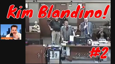 Vexatious Litigant!
