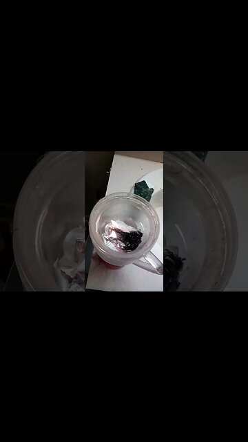 Burning Receipts | TBrown0065 #shorts