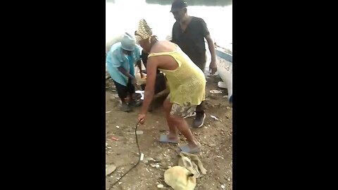 One Snook