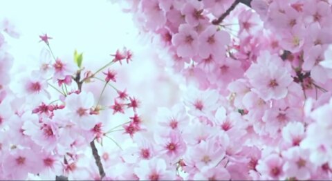 Walk In The Fullness Of Everything God Has For You! - Andrew Wommack