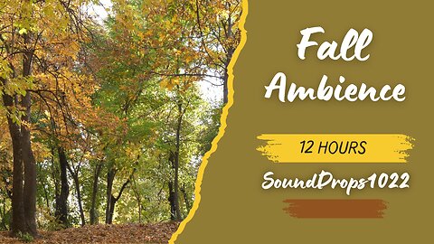 12-Hour Fall Serenity: Autumn Sounds for Sleep & Focus