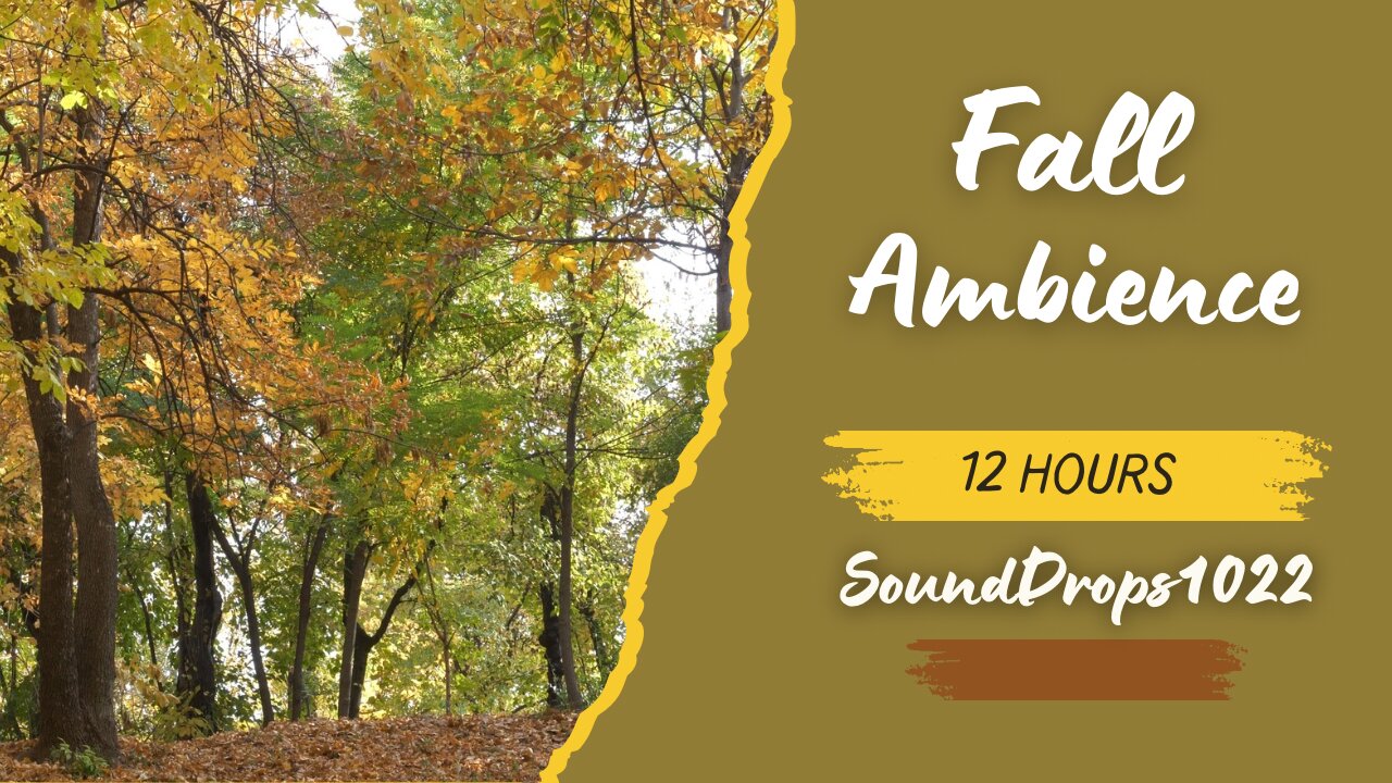 12-Hour Fall Serenity: Autumn Sounds for Sleep & Focus