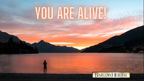 You are ALIVE!