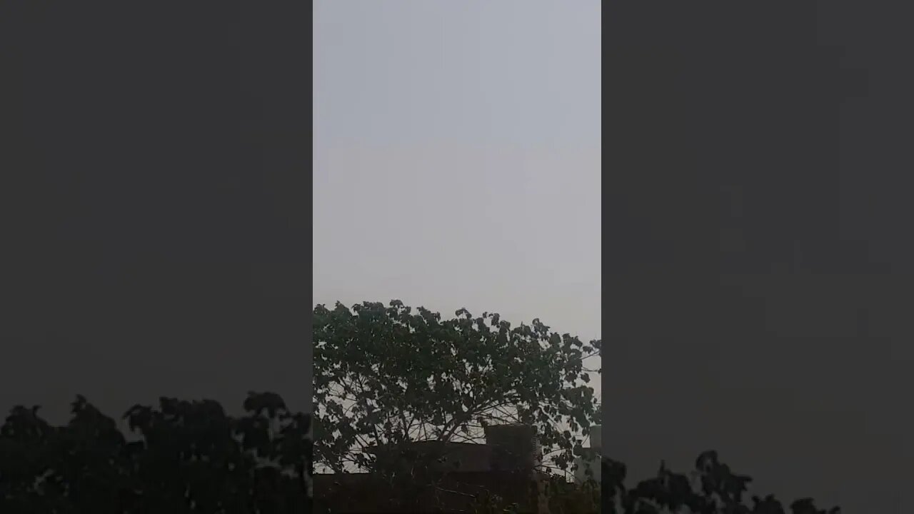 A cool breeze is blowing in a beautiful sunny morning #lahore