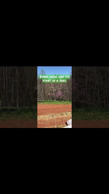 Start a seed, grow a meal #permaculture